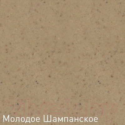 Мойка кухонная Zigmund & Shtain Platz 425