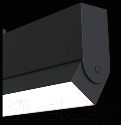 Трековый светильник Maytoni TR013-2-20W4K-B
