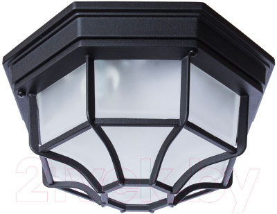 Бра уличное Arte Lamp Pegasus Piatto A3100PL-1BK