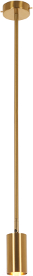 Потолочный светильник MyFar Dereck MR1020-1P