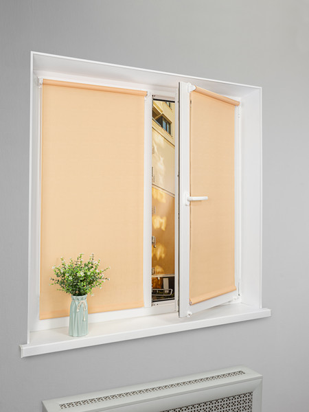 Рулонная штора Lm Decor Лайт LM 30-10C 61x160