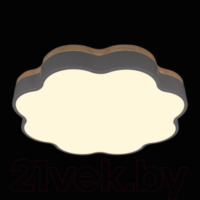 Потолочный светильник Loftit Axel 10225/36