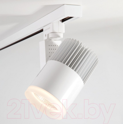 Трековый светильник Elektrostandard Accord 20W 4200K LTB17