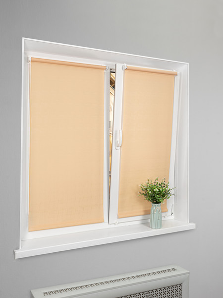 Рулонная штора Lm Decor Лайт LM 30-10C 61x160