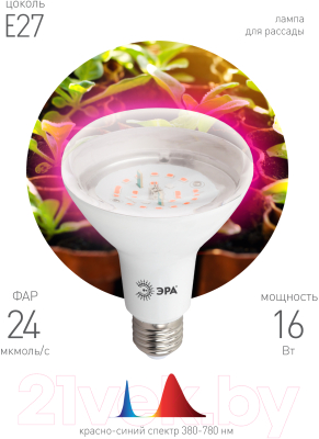 Лампа для растений ЭРА FITO-16W-RB-E27-K / Б0039072