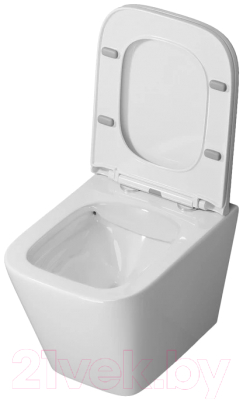 Унитаз подвесной Niagara Atrio NG-9303