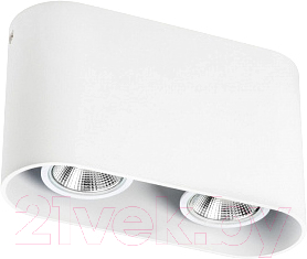 Комплект точечных светильников Lightstar Rullo 2xHP16 214866