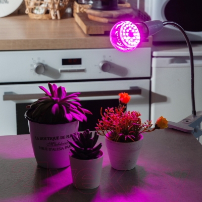 Лампа для растений Uniel LED-A60-8W/SPSB/E27/CL PLP30G / UL-00004581