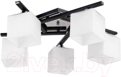 Люстра Arte Lamp Visuale A8165PL-5BK