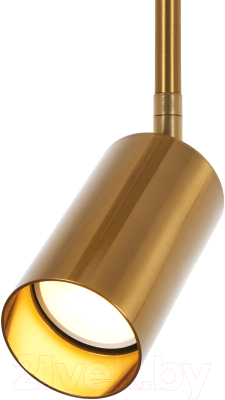 Потолочный светильник MyFar Dereck MR1020-1P