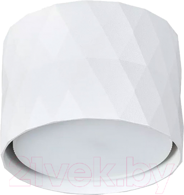 Точечный светильник Arte Lamp Fang A5552PL-1WH