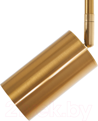 Потолочный светильник MyFar Dereck MR1020-1P