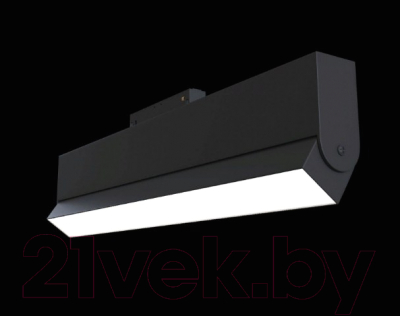 Трековый светильник Maytoni TR013-2-20W4K-B