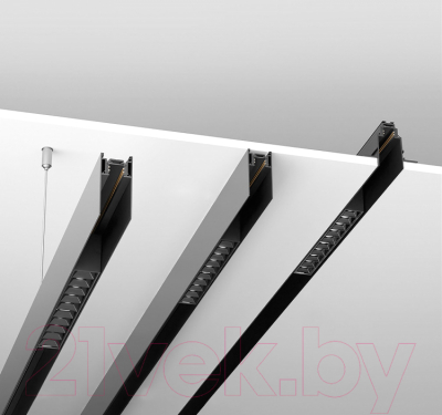 Шинопровод Maytoni TRX004-222B