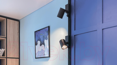 Трековый светильник Maytoni Vuoro TR029-3-20W4K-M-B