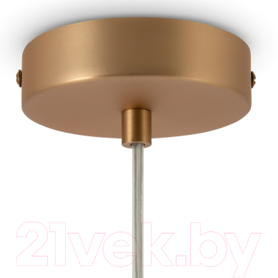 Потолочный светильник Maytoni Basic Form MOD321PL-01G3