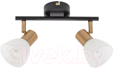 Спот Arte Lamp Falena A3117PL-2BK