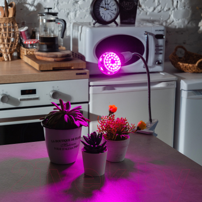 Лампа для растений Uniel LED-A60-8W/SPSB/E27/CL PLP30G / UL-00004581