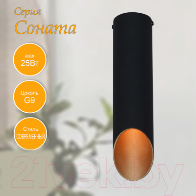 Потолочный светильник Элетех Соната 112 НПБ 01-25-102 G9 / 1005405289
