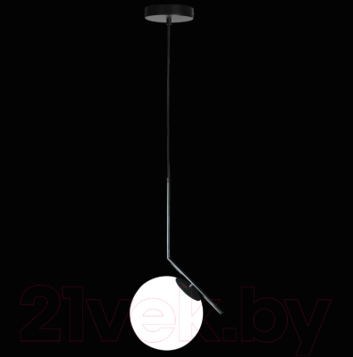 Потолочный светильник Loftit Icl 2579-B