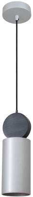 Потолочный светильник FAVOURITE Otium 2270-1P