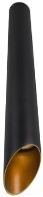Потолочный светильник Arte Lamp Pilon-Gold A1537PL-1BK