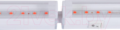 Светильник для растений Glanzen RPD-0600-10-fito