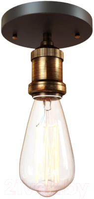 Потолочный светильник Loftit LOFT3103C