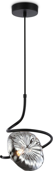 Потолочный светильник Ambrella LH15001 BK/SM