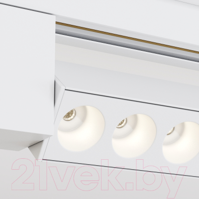 Трековый светильник Maytoni Points Rot TR010-1-20W3K-M-W