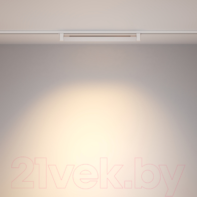 Трековый светильник Maytoni Points Rot TR010-1-20W3K-M-W