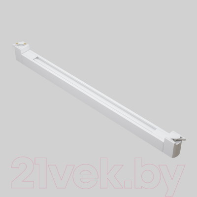 Трековый светильник Maytoni Points Rot TR010-1-20W3K-M-W