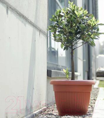 Кашпо Prosperplast Terra DCE40-R624