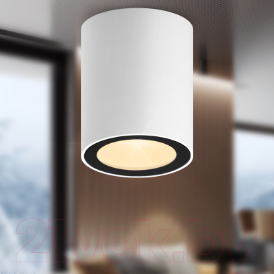 Точечный светильник ЭРА OL48 WH/BK MR16 / Б0059799