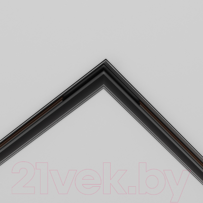 Коннектор для шинопровода Maytoni Accessories For Tracks Exility TRACL034-42B-R
