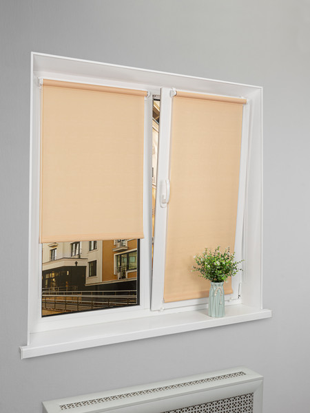 Рулонная штора Lm Decor Лайт LM 30-10C 61x160