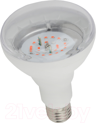Лампа для растений ЭРА FITO-16W-RB-E27-K / Б0039072