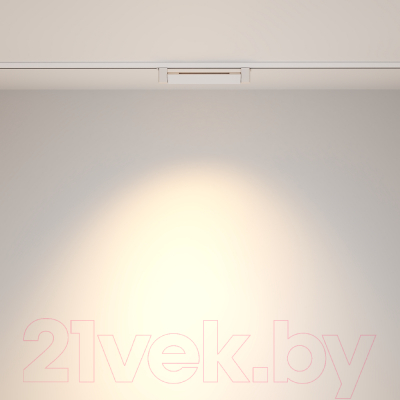 Трековый светильник Maytoni Points Rot TR010-1-10W4K-M-W