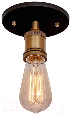 Потолочный светильник Loftit LOFT3103C
