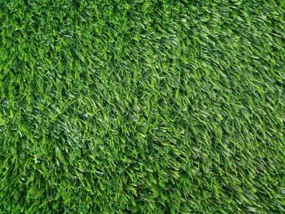 Искусственная трава Greenery Lawn SALG-2516 25мм