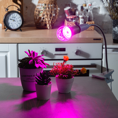 Лампа для растений Uniel LED-A60-15W/SPSB/E27/CL PLP30GR / UL-00004582