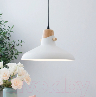 Потолочный светильник Home Light Астерия A039-1