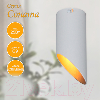 Потолочный светильник Элетех Соната 111 НПБ 01-25-101 G9 / 1005405288