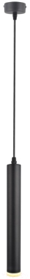 Потолочный светильник Arte Lamp Hubble Pendant A6810SP-1BK