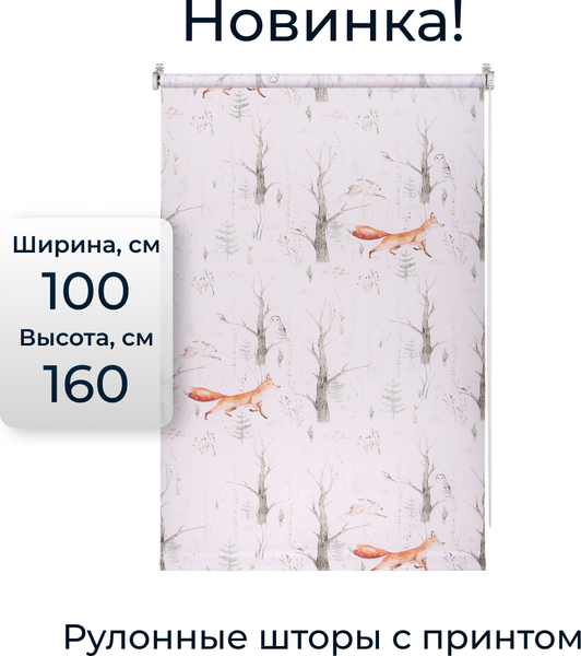 Рулонная штора Franc Gardiner Print Лесные друзья лисы, день 100х160 / 9403217449