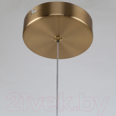 Потолочный светильник F-Promo Chantra 4088-3P
