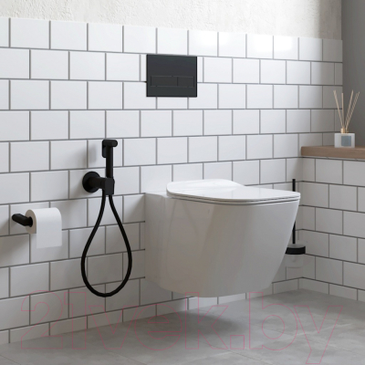 Гигиенический душ со смесителем Gross Aqua Bidet Evo GA042602MB