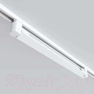 Трековый светильник Maytoni Points Rot TR010-1-20W3K-M-W
