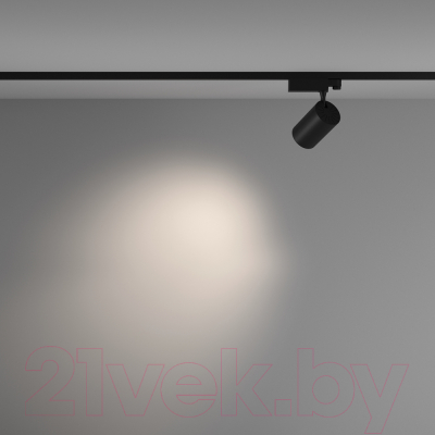 Трековый светильник Maytoni Vuoro TR029-3-20W4K-M-B