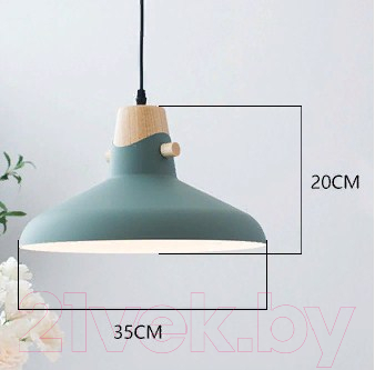 Потолочный светильник Home Light Астерия A039-1
